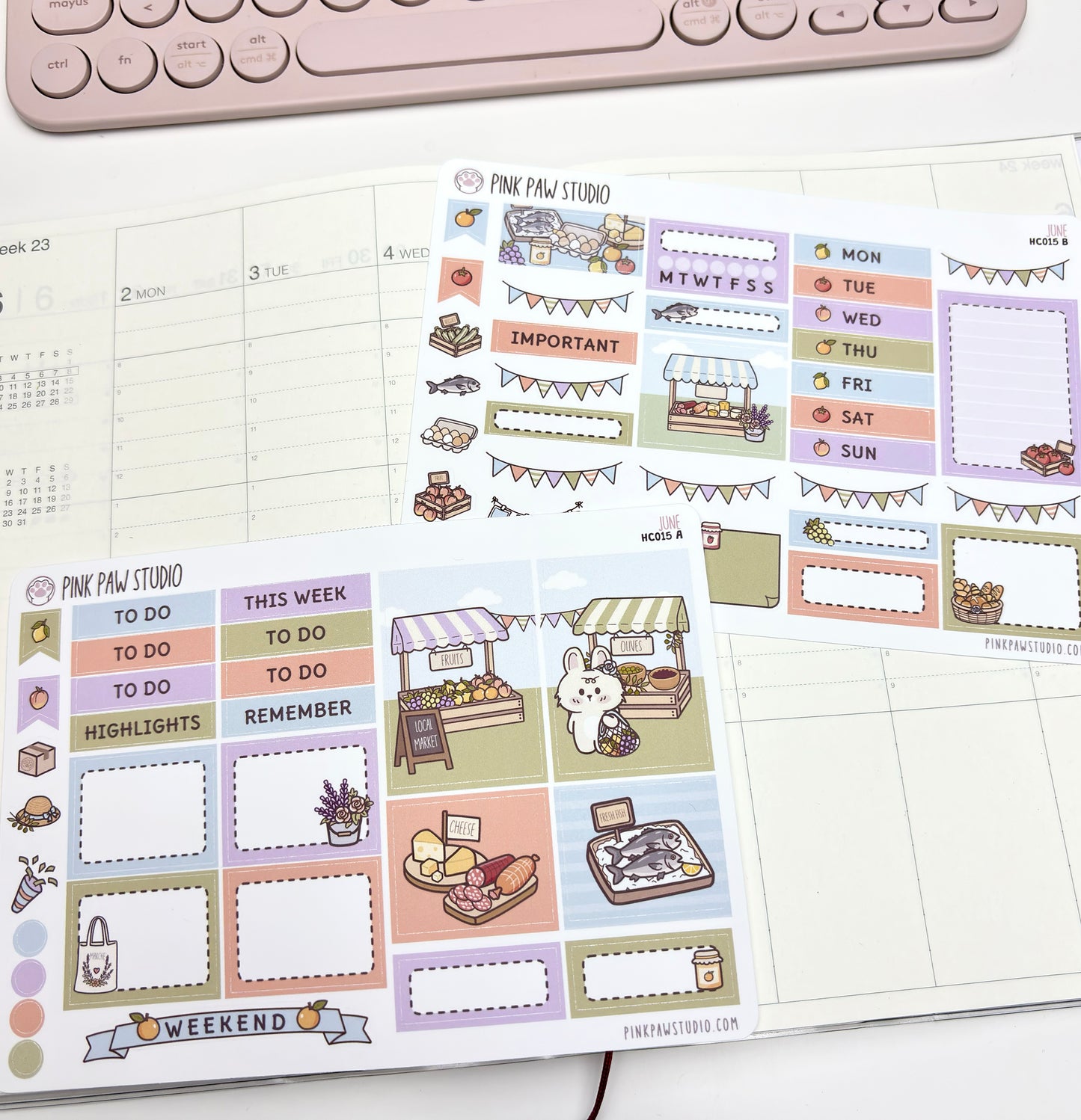 Hobonichi Cousin Kit - June