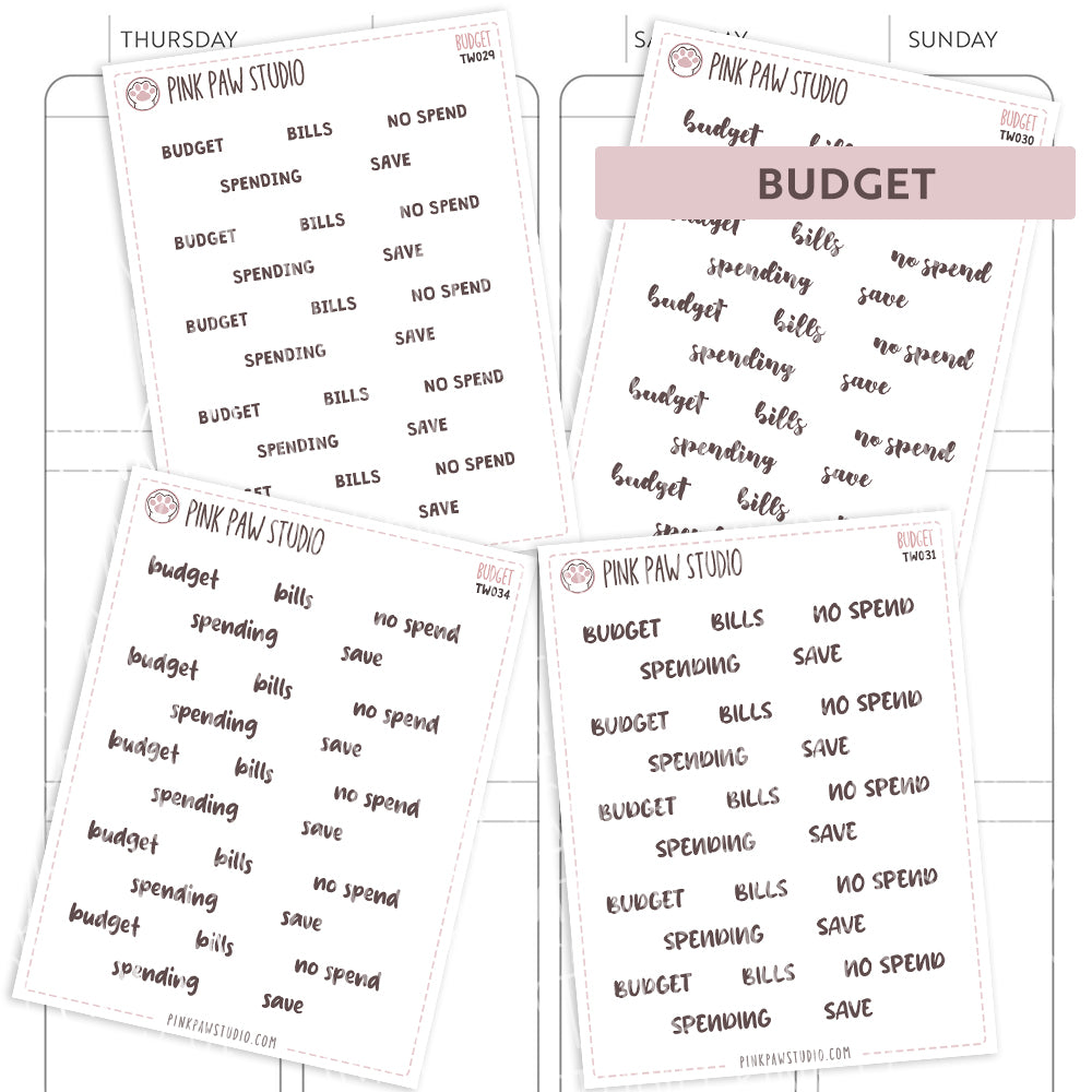 Text words: BUDGET