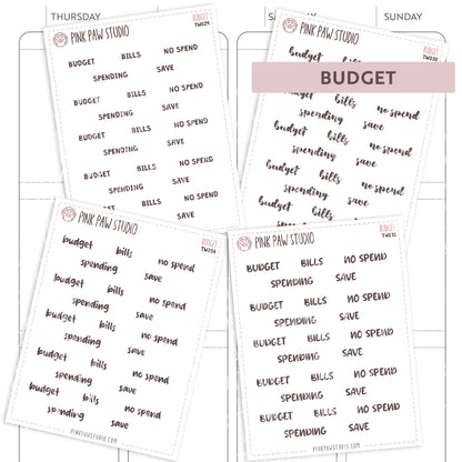 Text words: BUDGET
