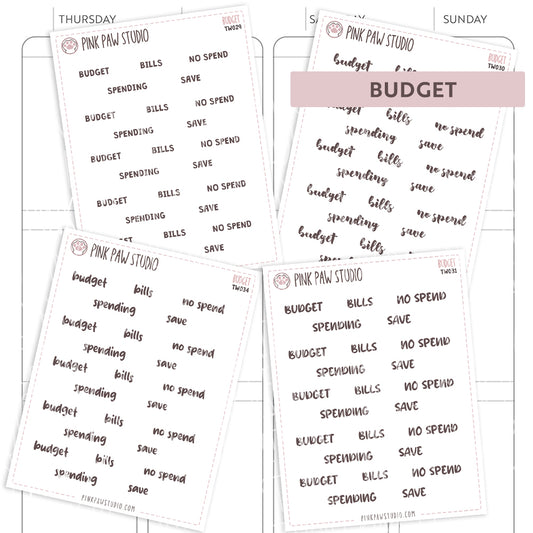 Text words: BUDGET