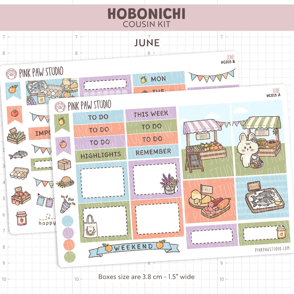 Hobonichi Cousin Kit - June
