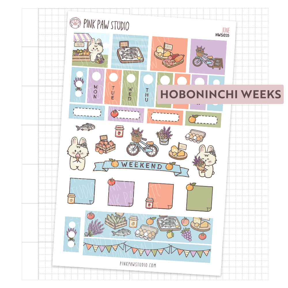 Hobonichi Weeks - June